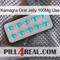 Kamagra Oral Jelly 100Mg Use 28